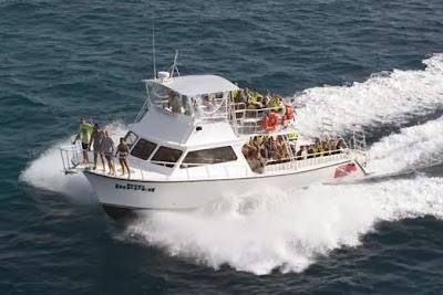 Photos of Florida Keys Dive Center