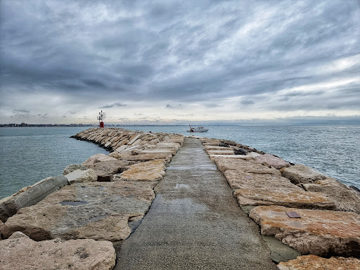 Rimini port - Visual