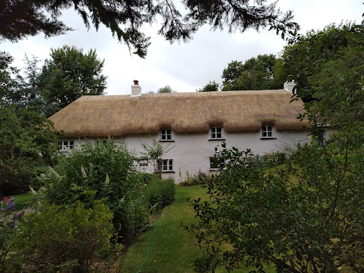 Celtic Thatch - Visual