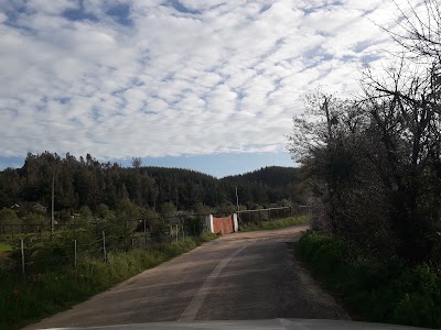 Photos of Minimarket Melosilla