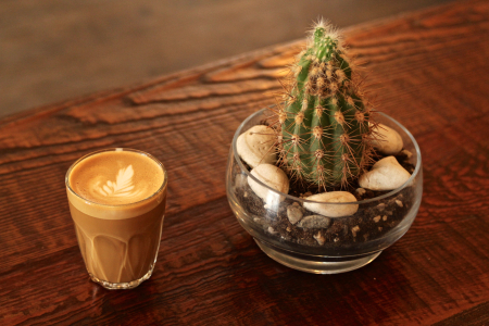 Café Myriade - Le Plateau by null