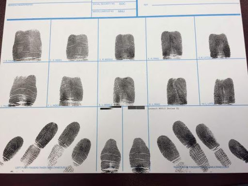Fingerprinting Cambria Heights - Thumbnail