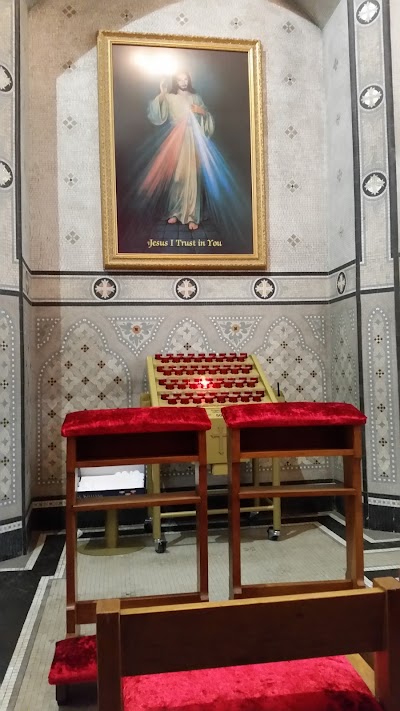 Photos of St Patricks Cathedral Dundalk