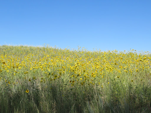 Crescent Lake National Wildlife Refuge Headquarters - Thumbnail
