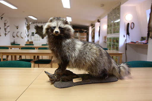 Jagdschule Sanitz - Thumbnail