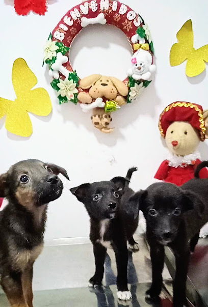 Centro Veterinario Ibagué