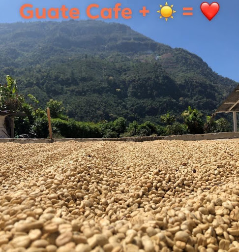 Guate Cafe - Visual