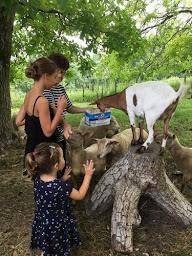 Photo n°8 de Chambres d'hôtes Boudeau à Léguillac-de-l'Auche (Chambre d'hôtes)