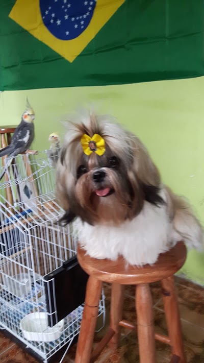Photos of Pet Home - Unit President Backer
