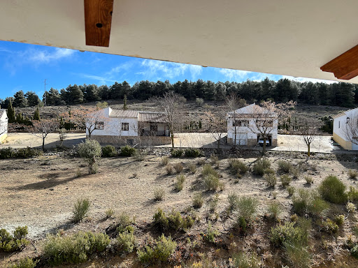 Arriba Park - Thumbnail
