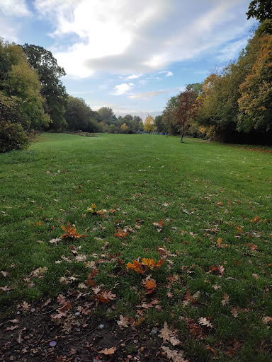Berkeley Meadows - Visual