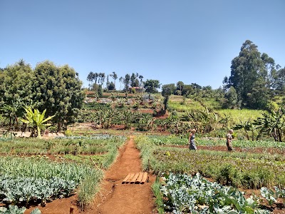 Photos of Mlango Farm