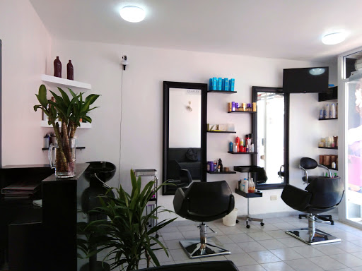 Mayi Studio - Visual