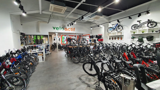Veloactif - Magasin Vélos Électriques Paris Sud Châtillon - Drancy