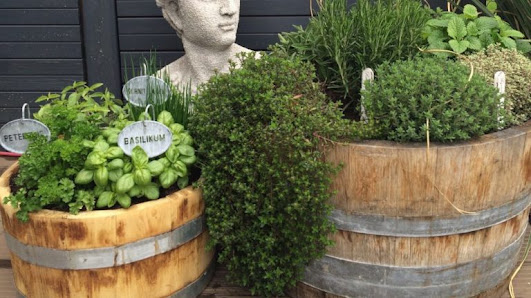 Xaver Mendle Gartengestaltung Kapfing 6, 85469 Walpertskirchen