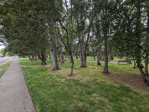 Oak Park - Visual