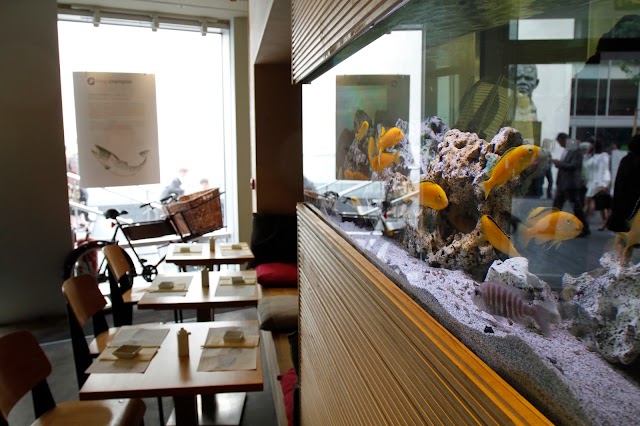 Feng Sushi