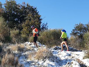 Photo n°2 de Dynamic'Trail Tourrette-Levens à Tourrette-Levens (Club de sport)