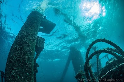 Photos of Colombo Divers