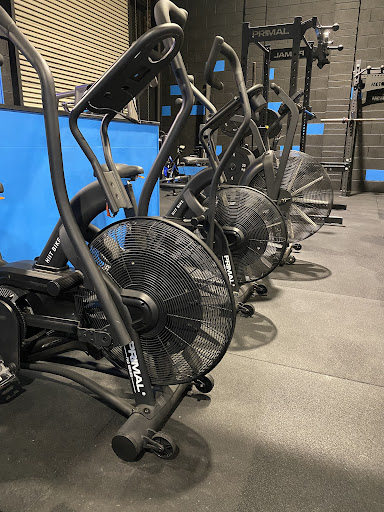 Orbit Strength - Visual
