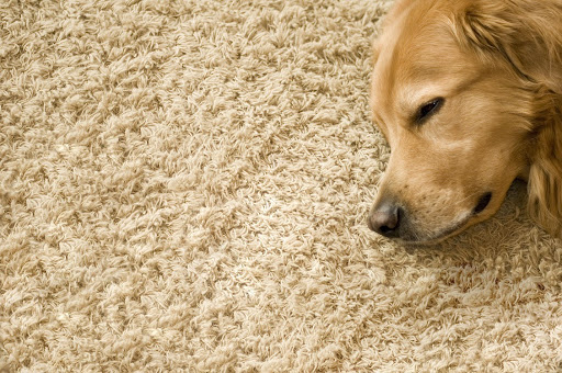 ANG Carpet & Flooring