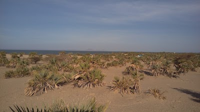 Photos of Eliye Springs Beach