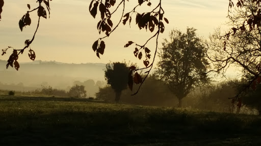 Herrmann - Visual