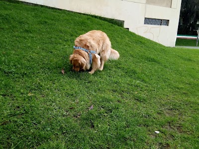 Photos of Fane&oacute;n Park