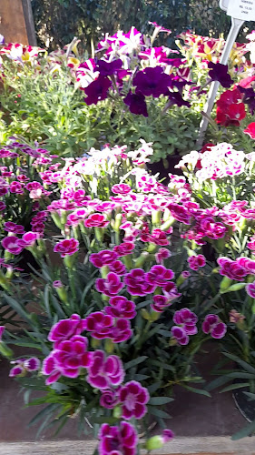 Horário de funcionamento de Mundo Verde Floricultura