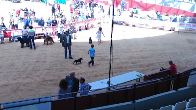 Photos of Plaza de Toros Cubierta Plurifuncional de Villena