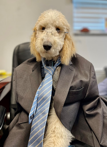 Stickley Law Office - Thumbnail