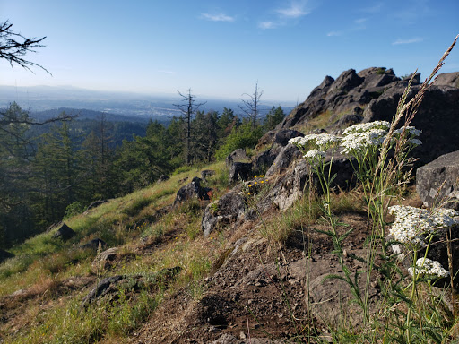 Spencer Butte Park - Thumbnail