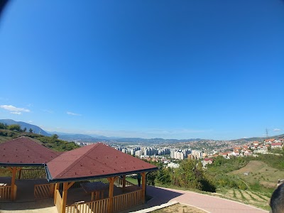 Photos of Forest Park Mojmilo