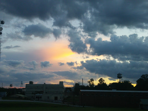 Newbern Field - Visual