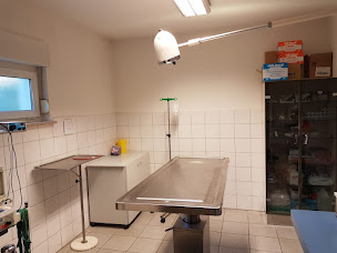 Photo n°10 de Clinique vétérinaire de l'Arc-en-ciel à Marckolsheim (Clinique vétérinaire)