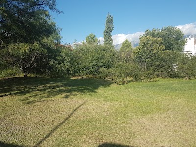 Photos of El Aguaribay