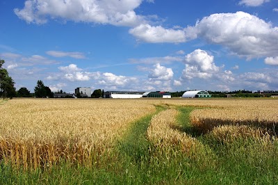 Photos of Flugplatzgesellschaft Alkersleben