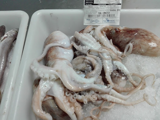 Pescaderia abanilla Gallery - Spain