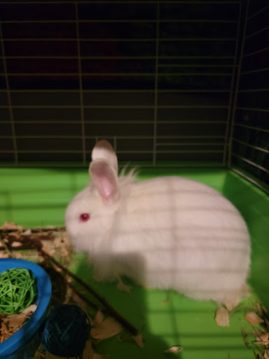 Church's Rabbistry - Thumbnail