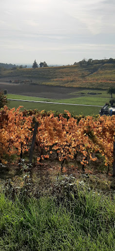 Big Bench #134 Moncucco Torinese - Thumbnail