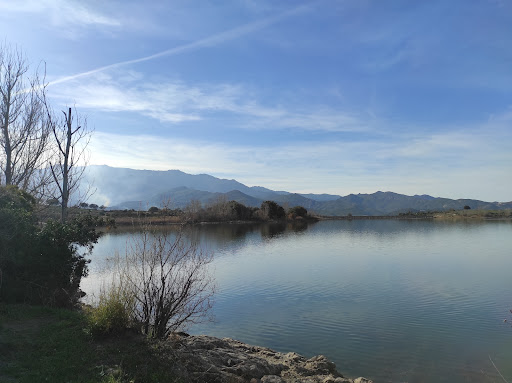 Lac de padule