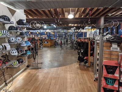 Trailhead Mesa Cycles