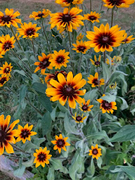 Photo n°34 de Le Jardin de Marie - Hébergement maison d'hôtes Sancerre à Neuilly-en-Sancerre (Hôtel)
