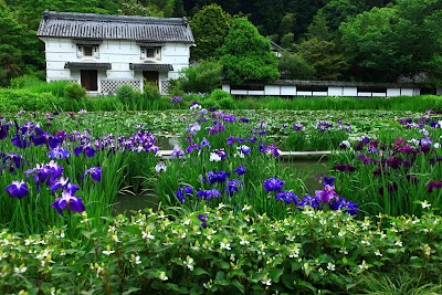 Photos of 加茂花鳥園