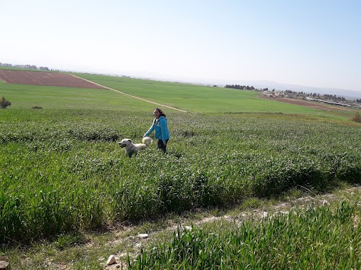 Givat HaMoreh Park, Author: יגאל שטיימן