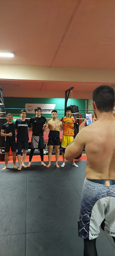 Oc'kick Fighting - Visual