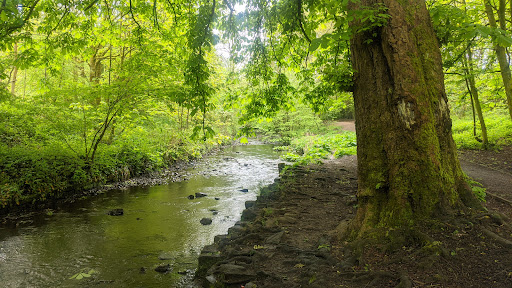 Foxhill Bank Nature Reserve