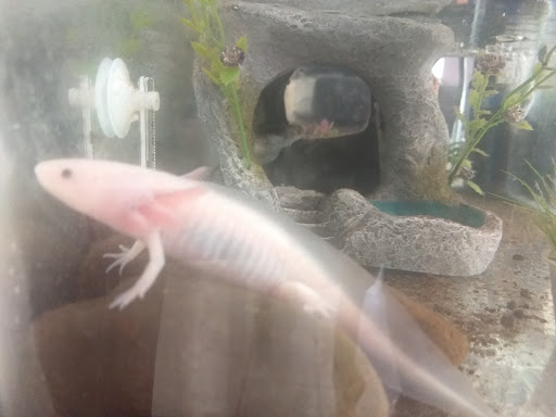 El granero de Ocotlán - Thumbnail