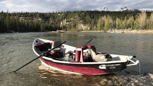 Banff Fly Fishing ( Guided Fly Fishing Trips ) Blue Wing Adventures Logo