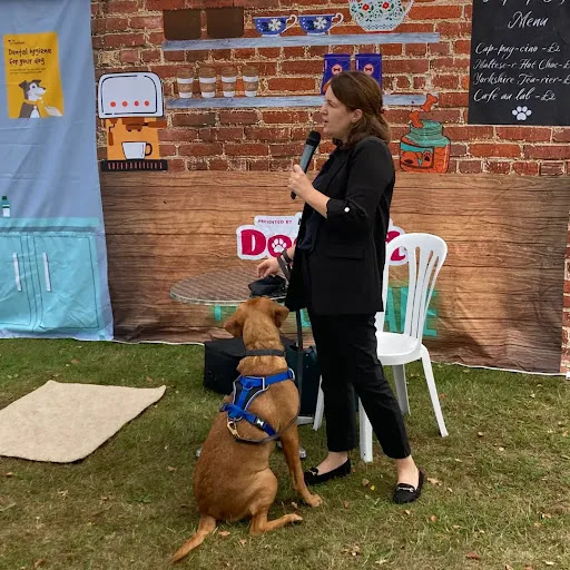 Passionate About Pets Animal Physiotherapy Gallery - United Kingdom